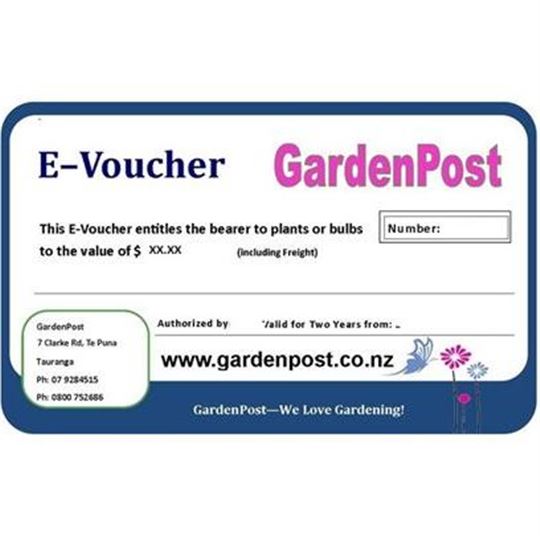 $10 E-Voucher