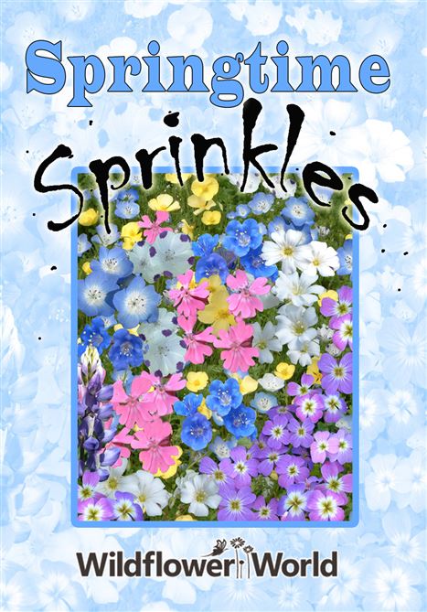 Springtime Sprinkles