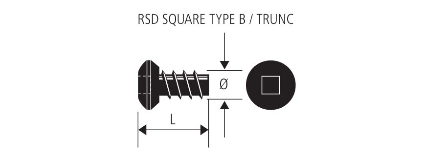 RSD TYPE B SELF TAP SCREW - 8g x 10mm