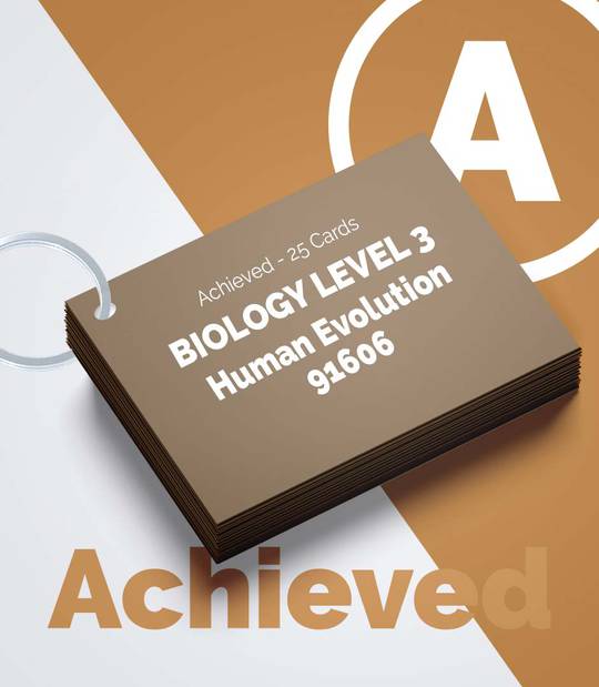 Level 3 Biology - Human Evolution 91606 (Achieved Only)