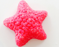 starfish-84