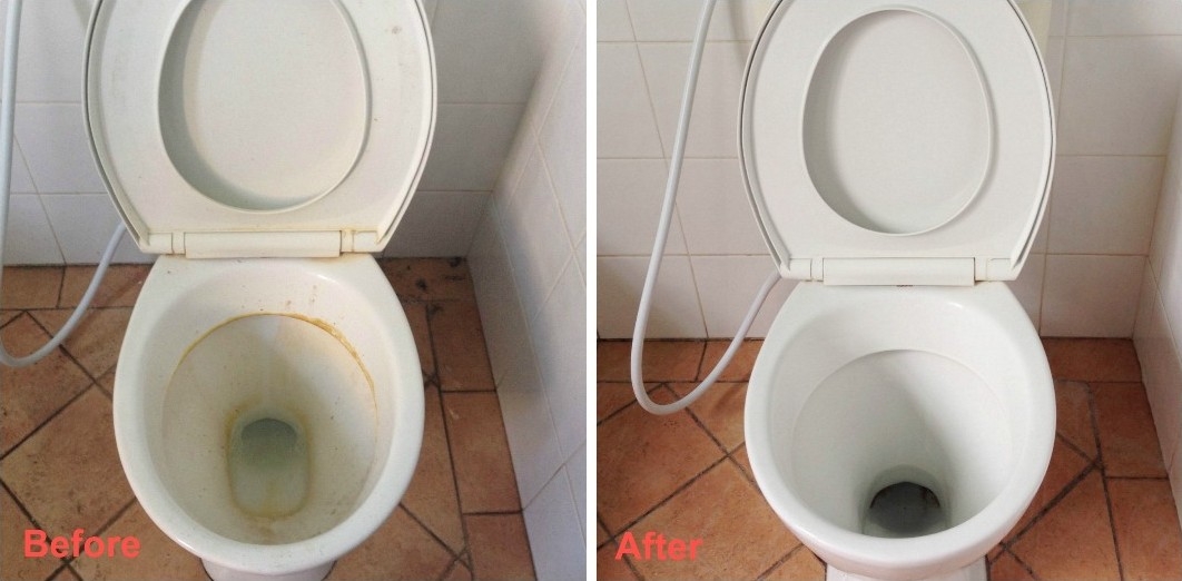 toilet sanitation services
