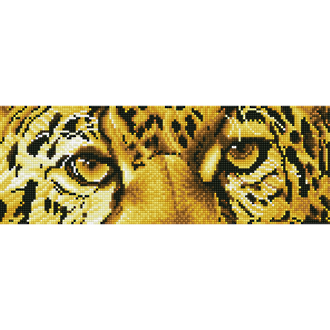 Leopard Spy  DD5.028
