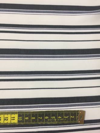 Black and White stripes
