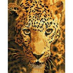 Jaguar Prowl  DD6.005