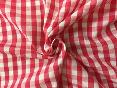 Gingham Cerise Red and White