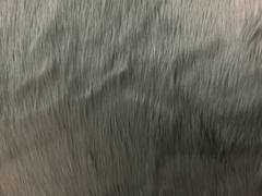 Grey faux Fur - Long Pile
