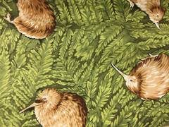 Kiwiana Print - Kiwi bird on fern background