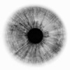 eye_health_optrician.jpg