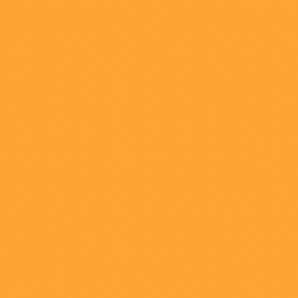 25mm Regular Gloss - Orange