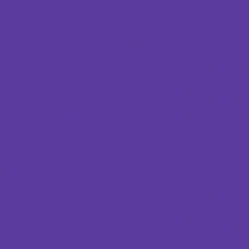 25mm柔软光泽 - 紫色