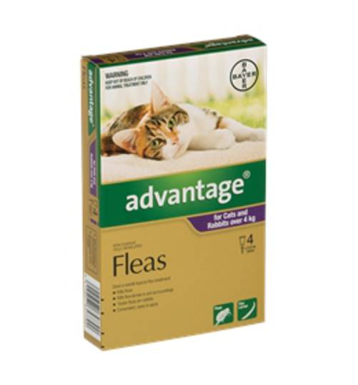 Advantage Spot-on Flea Treatment for Cats and Rabbits Over 4kg (Purple / 4 pippets)
