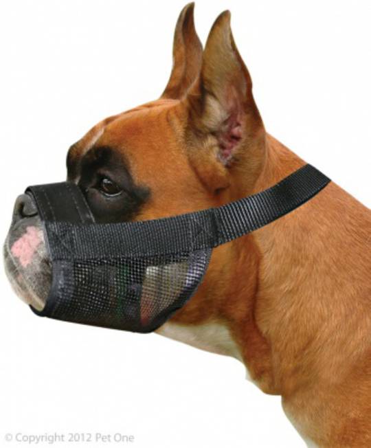 Pet One Adjustable Nylon Muzzle - Boxer Dogs