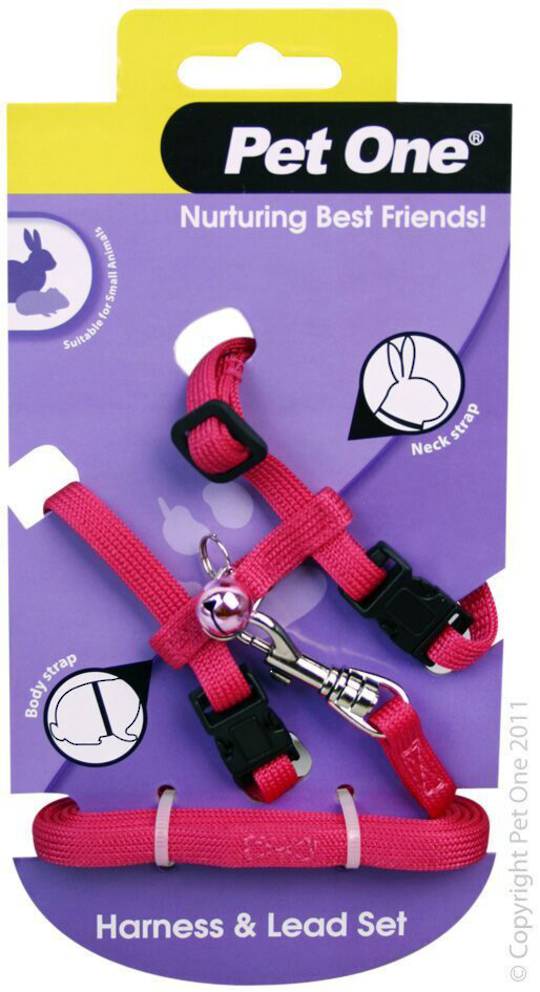Leash and Harness Rabbit/Guinea Pig Pink