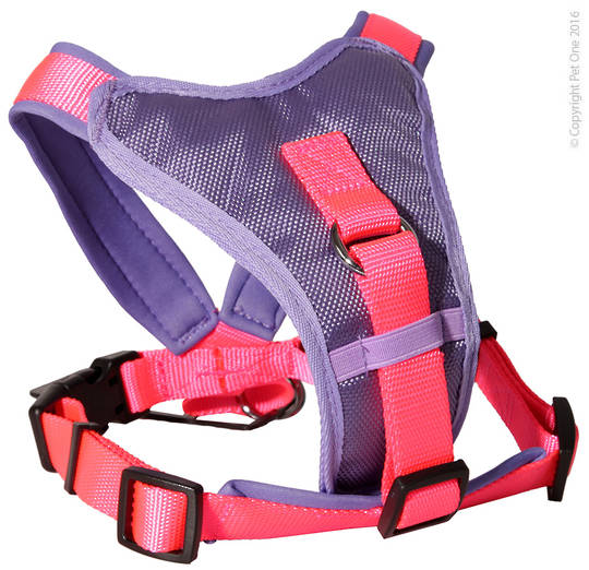 Pet One Harness - Comfy 64 - 78cm Padded 25mm Purple/Pink