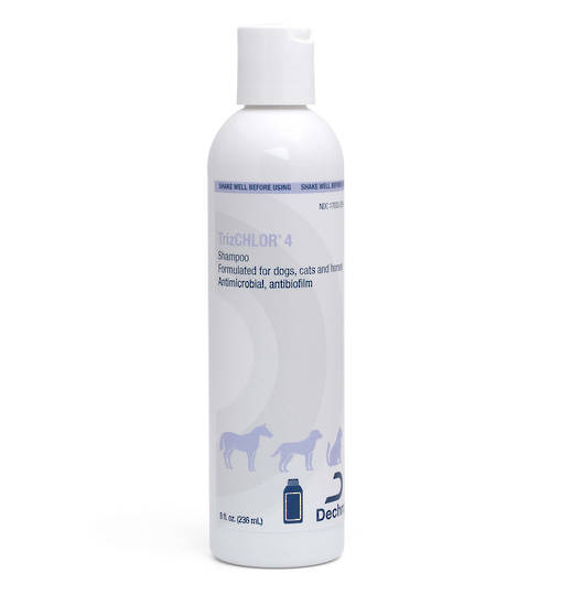 TrizCHLOR 4 Shampoo 236ml Antibacterial
