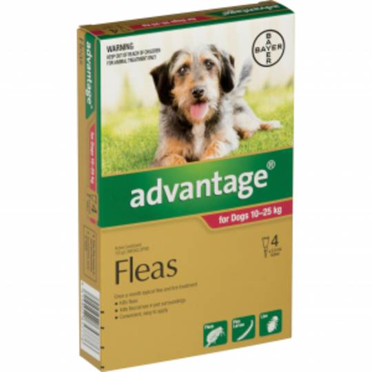 Advantage Spot on Flea Treatment for Large Dog 10-25kg (Red / 4 pippets)