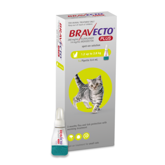Bravecto Plus Spot-On for Small Cats - 1.2 - 2.8kg