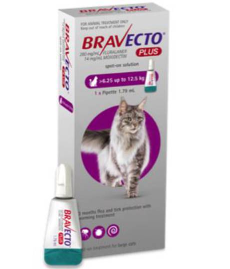 Bravecto Plus Spot-On for Large Cats - 6.2 - 12kg