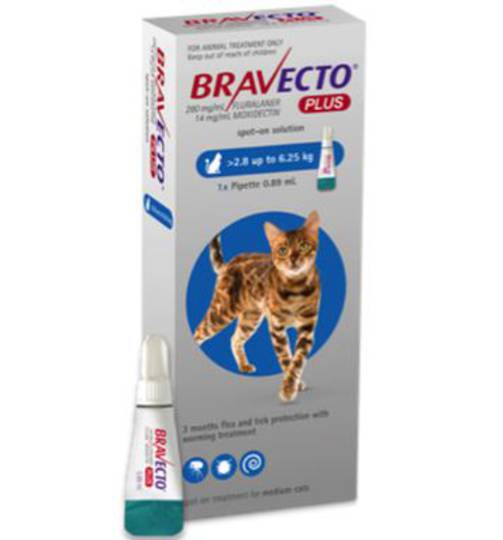 Bravecto Plus Spot-On for Cats - 2.8 - 6.2kg