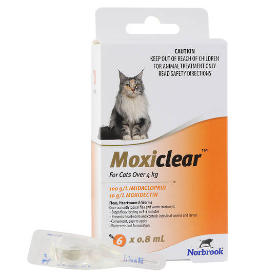 Moxiclear Orange For Cats Over 4kg– 6 Pack