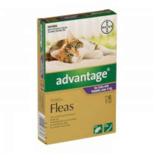 Advantage Spot-on Flea Treatment for Cats and Rabbits over 4kg (Purple / 6 pippets)
