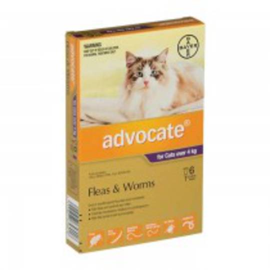 Advocate Spot-on Flea and Worm Treatment for Large Cats over 4kg (Purple / 6 pippets)