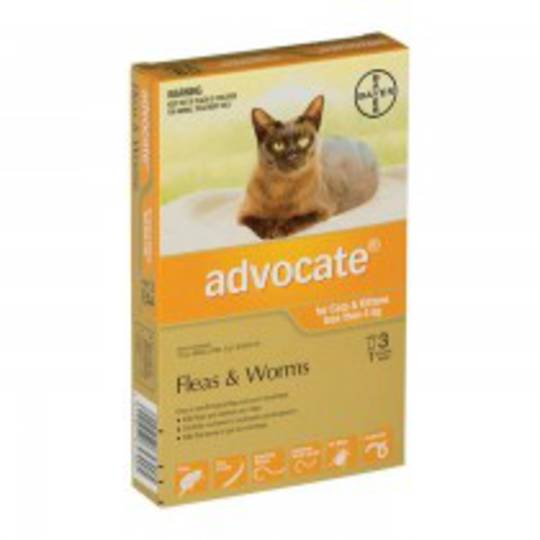 Advantage Spot-on Flea Treatment for Cats and Kittens up to 4kg (Orange / 3 pippets)
