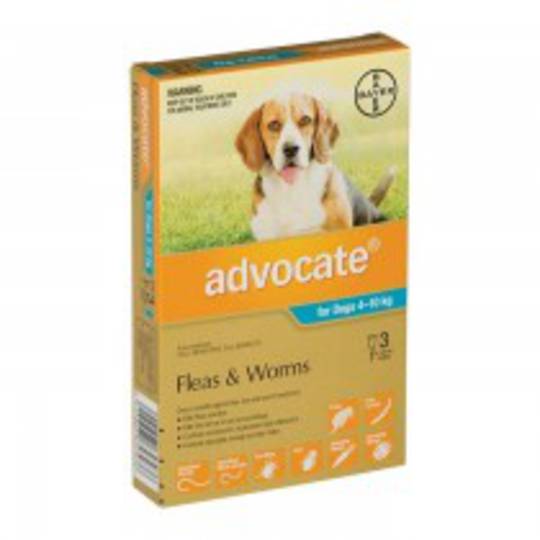 Advantage Spot-on Flea and Worm Treatment for Medium Dogs 4-10kg (Turquoise / 3 pippets)