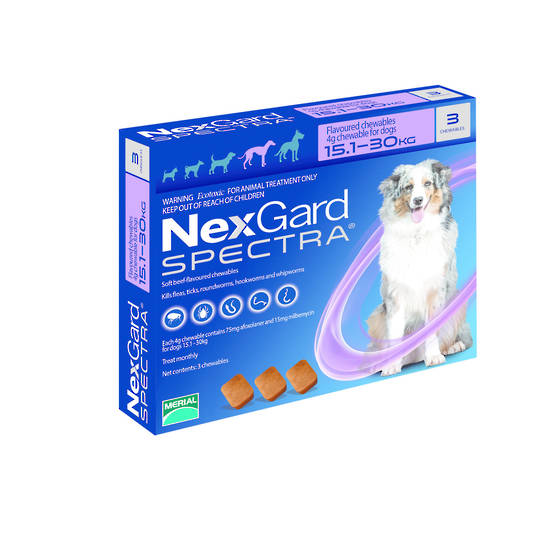 NexGard Chewable Flea & Worm Treatment for Large Dogs (Purple / 3 chewable)