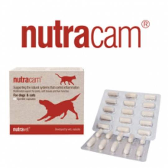 Nutracam for dogs & cats Joint & Inflammation - 60 capsules