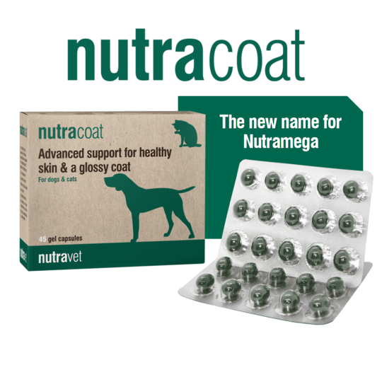 Nutracoat  for Cats & Dogs Healthy Skin & Coat- 45 capsules