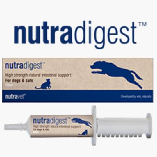Nutradigest for Cats & Dogs Digestive imbalance - 20ml paste plunger