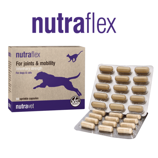 Nutraflex for Cats & Dogs Joint Support - 60 capsules