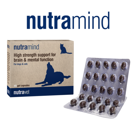Nutramind – High strength support for brain & mental function - 45 Gel Capsules