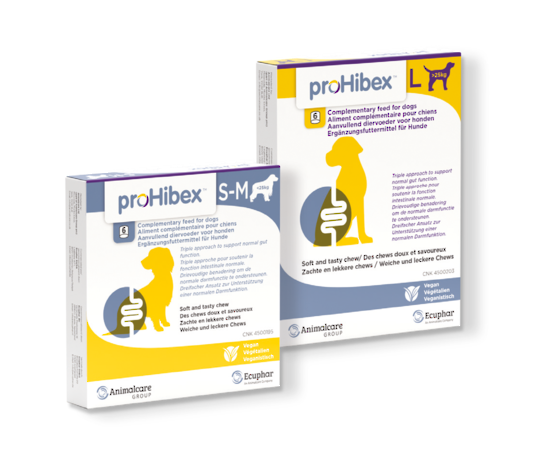 proHibex® Chews For Dogs - Small/Medium Dogs