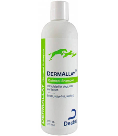 DermAllay Oatmeal Shampoo (355ml)