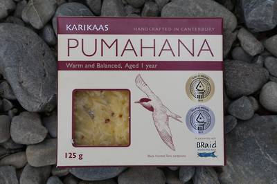 Pumahana (Black fronted tern, tarapirohe)