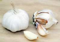 Garlic(copy)