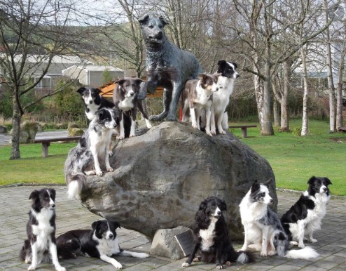 hunterville dog statue with dogs