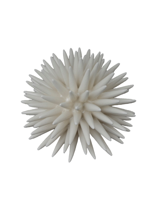CORAL DECOR BALL 2