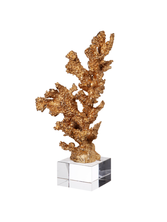GOLDEN CORAL ON CLEAR BASE 2