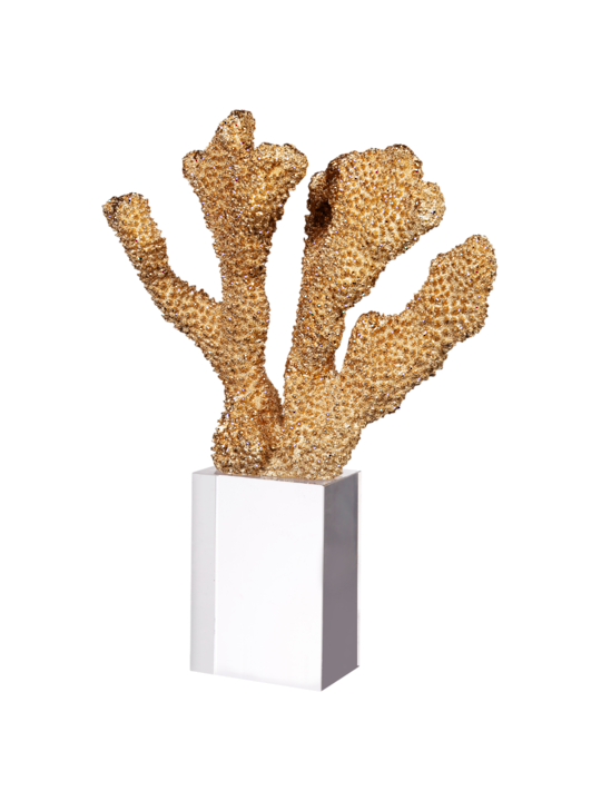 GOLDEN CORAL ON CLEAR BASE 3
