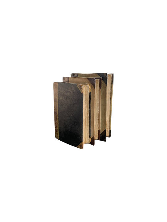DECORATIVE BOOKS LGE