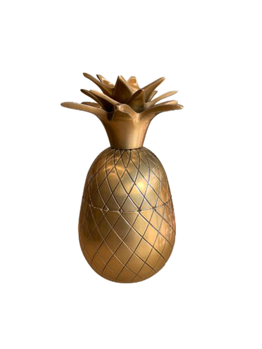 PINEAPPLE WITH STORAGE