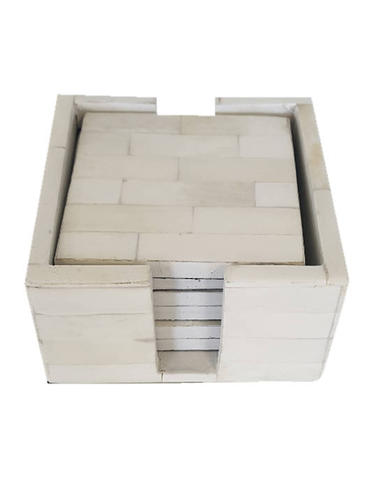 BONE COASTERS SET 6 IN CASE