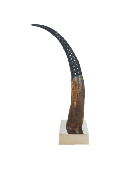 DECORATIVE HORN ON ALUMINUM BASE NKL FINISH