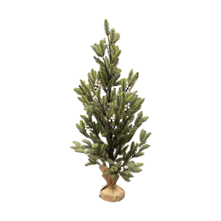 80cmh pine tree