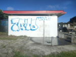 thumbnail Mangawhai Heads beach toilet block graffiti-660