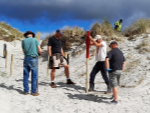 thumbnail planting-and-fencing-in-dunes-at-marsden-village-ruakaka-1200-891